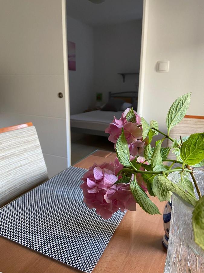 Duje & Roko Apartments Šibenik Екстериор снимка